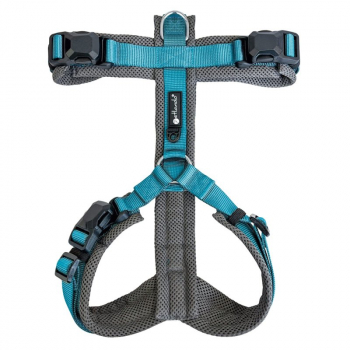 Preview: Petlando Magnetech Y - Comfort Geschirr Anthrazit/Petrol