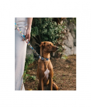 Preview: Brott Collar Textura Ciutadella