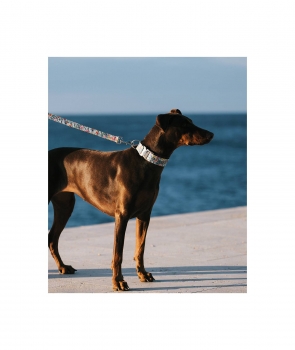 Preview: Brott Collar Textura Perelada