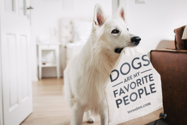 Preview: Treusinn ECO Turnbeutel Canvas "Dogs are my favorite people"