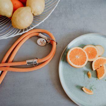 Preview: Hunter Training leash Malia  apricot/nature