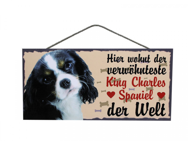 Dogsign King Charles Spaniel