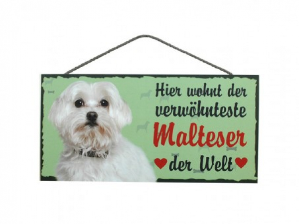 Hundeschild Malteser