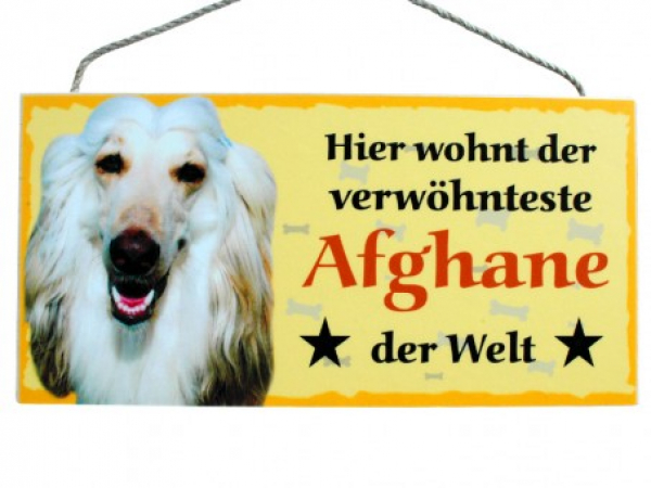 Hundeschild Afghane