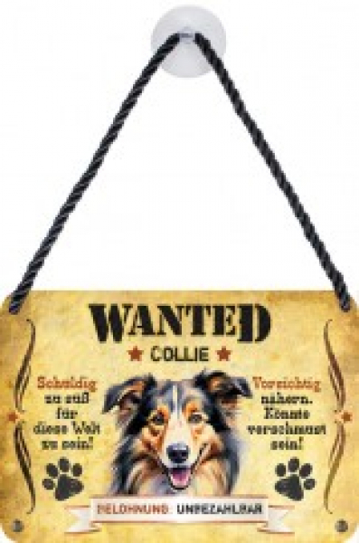 Wanted Haustierschilder Collie