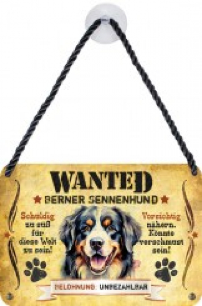 Wanted Haustierschilder Berner Sennenhund