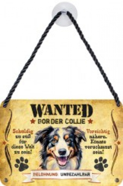 Wanted Haustierschilder Border Collie