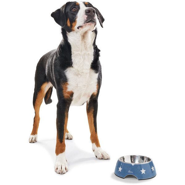 Melamine feeding bowl Aarhus