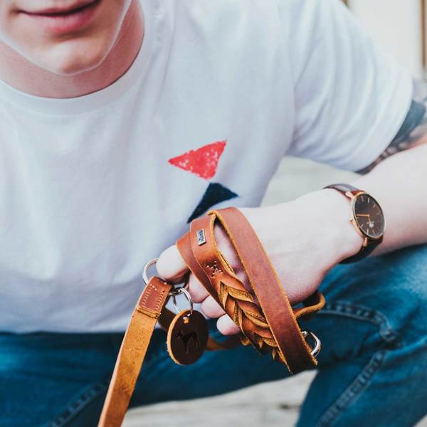 Training leash Solid Education  cognac