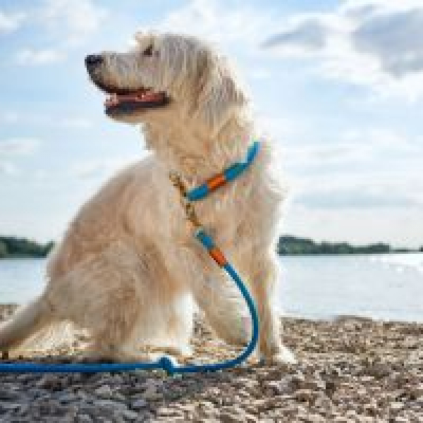 Hunter Training leash Oss 200 cm teal