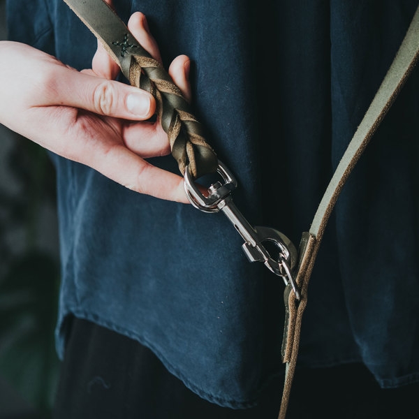 Training leash Solid Education  oliv