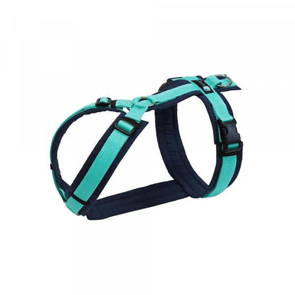 Harness Fun Ocean