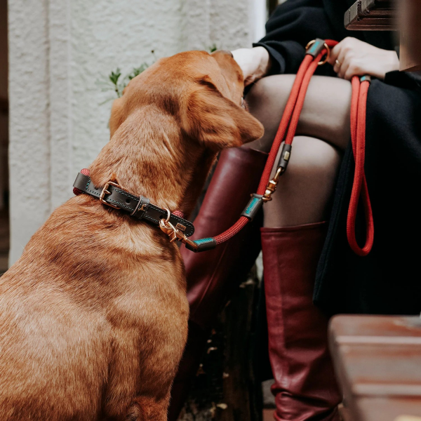 Hunter Training leash Malia   wine red/dark brown
