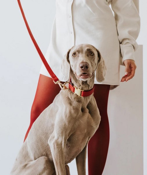 Brott Collar "Red" - vegan leather with golden clasp - Kopie - Kopie