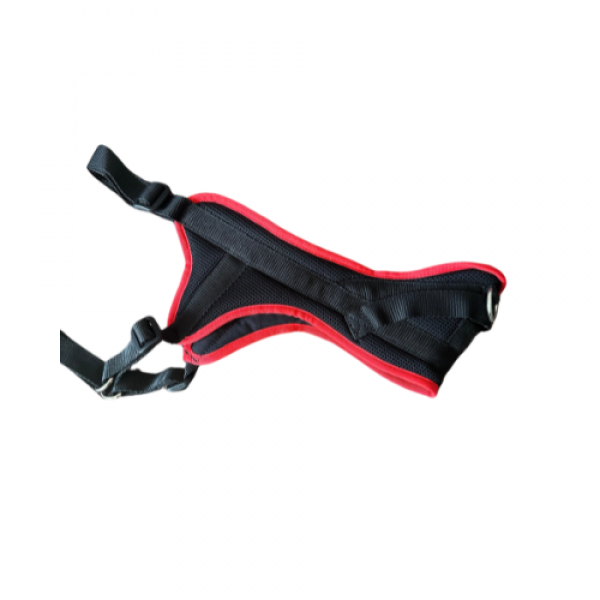 Training Harness GUIDE red