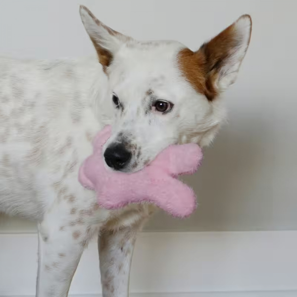 KONG Hundespielzeug "Snuzzles Kiddos" Hase