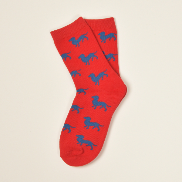 KRAWATTENDACKEL Kindersocken Rot Dackel Blau