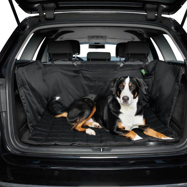 blanket for protection for the trunk  Hamilton