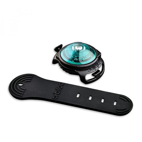 Orbiloc Dog Dual Hundelampen türkis