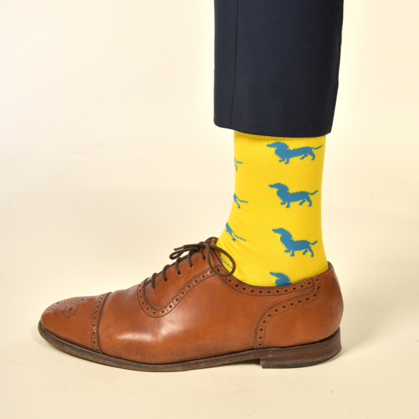 KRAWATTENDACKEL Socks yellow - Dog blue