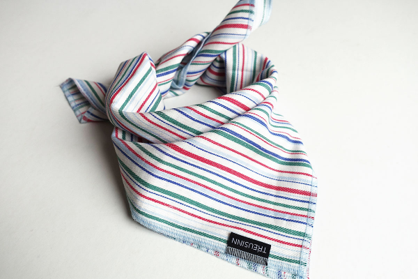 Treusinn Hundehalstuch Bandana Münster (Blau-Rot-Grün)