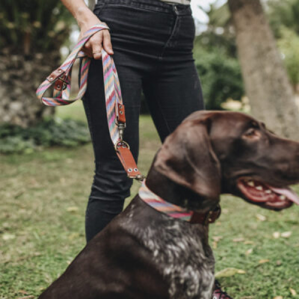 Ladran Gaucho Double or Multiposition Leash Zoe