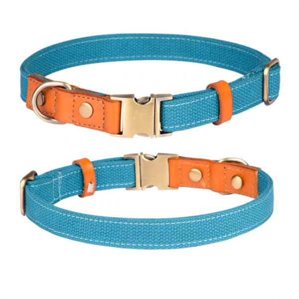 Prinz Poldi collar petrol