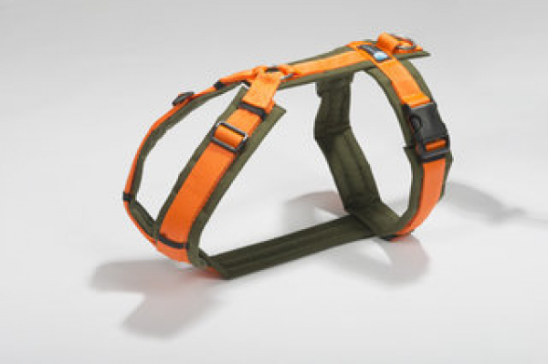 Harness Fun oliv/orange