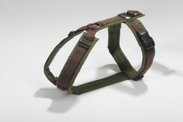 Harness Fun brown/green
