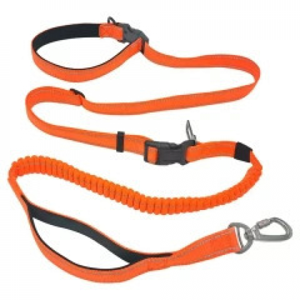 Prinz Poldi Joggingleine orange