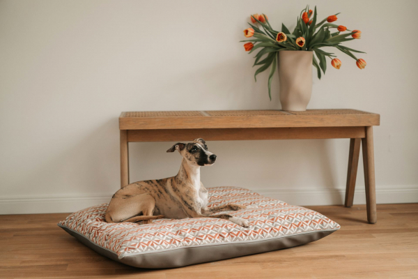 Dogstyler KURT Duo dog cushion creme/beige