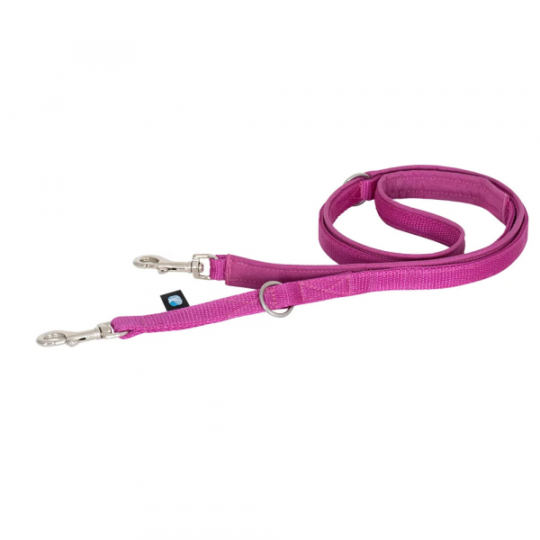 leash brown Sonnenhut