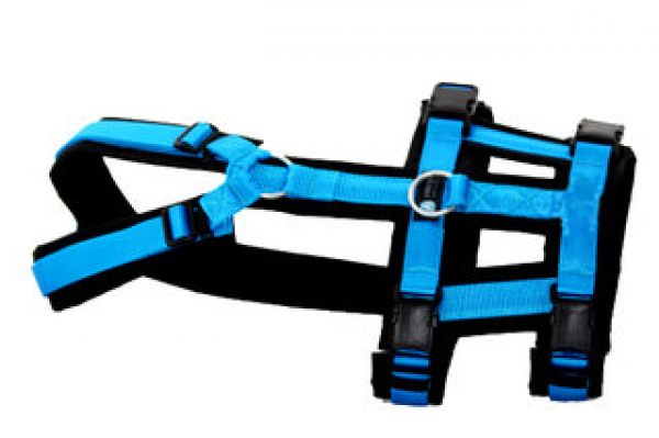 Anny-X Brustgeschirr safety schwarz/blau