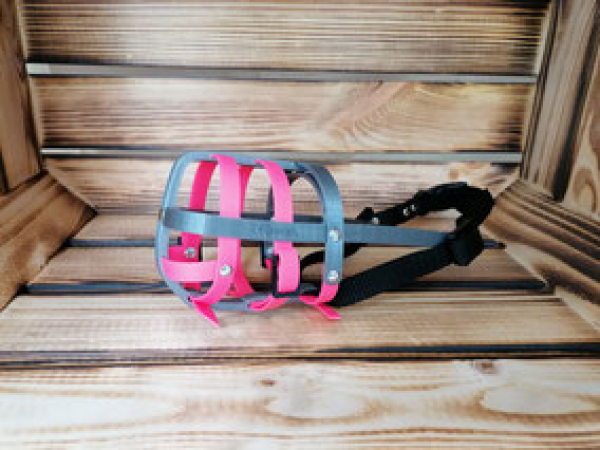 Capper's Muzzle Short grey/neonpink