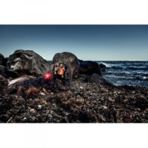 Orbiloc Dog Dual Hundelampen rot