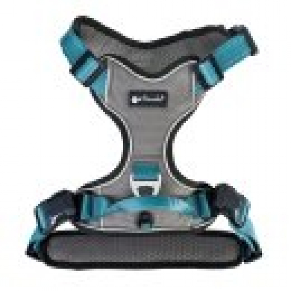 Petlando Magnetech Harness Anthrazit/Petrol