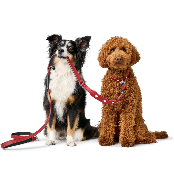 Hunter Training leash Love - Kopie