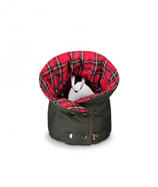 Brottdog Hundemantel Tremp grün