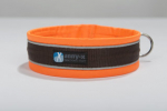 Anny-X Halsband protect leuchtorange/braun
